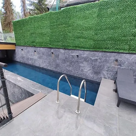 Apartment Dameski House Srebrni Vrhovi *